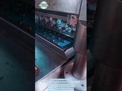 PD1000 ПОЛНОАВТОМАТИЧЕСКИЙ ДВОЛЬКОКОЛОРНЫЙ ПРОДУКЦИОННЫЙ ЛАЙН