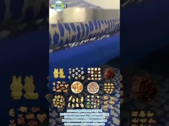 PD1200 ANIMAL ShapE HARD BISCOIT ПРОДУКЦИОННАЯ ЛИНА