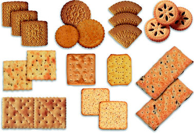 4 In 1 Biscuit Production Line Fully Automatic Biscuit Line For Hard Soft Sandwich Chocolate Coating Biscuit 500KG/H