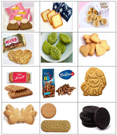 4 In 1 Biscuit Production Line Fully Automatic Biscuit Line For Hard Soft Sandwich Chocolate Coating Biscuit 500KG/H